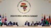 Korea Selatan, Rusia Gencarkan Investasi dan Kerja Sama dengan Afrika