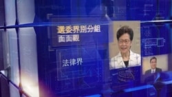 香港電台節目“選委界別分組面面觀”開場片段