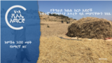 ከምሽቱ 3:00 የአማርኛ ዜና
