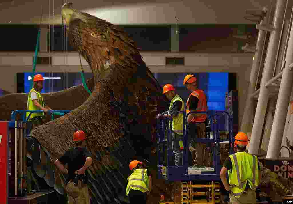 Para pekerja mengamankan patung burung elang raksasa yang jatuh dari atap bandara di kota Wellington, Selandia baru setelah gempa bumi 6,3 skala Richter melanda kawasan itu.