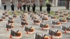 New Studies Show Drops in World Insect Population