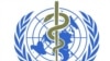 WHO Denies Conflict in Manufacture of Swine-Flu Vaccine 