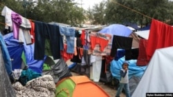 México: Reacciones posible Quédate en México