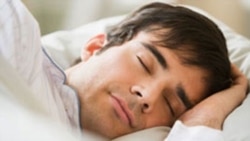 Sleep and The Brain