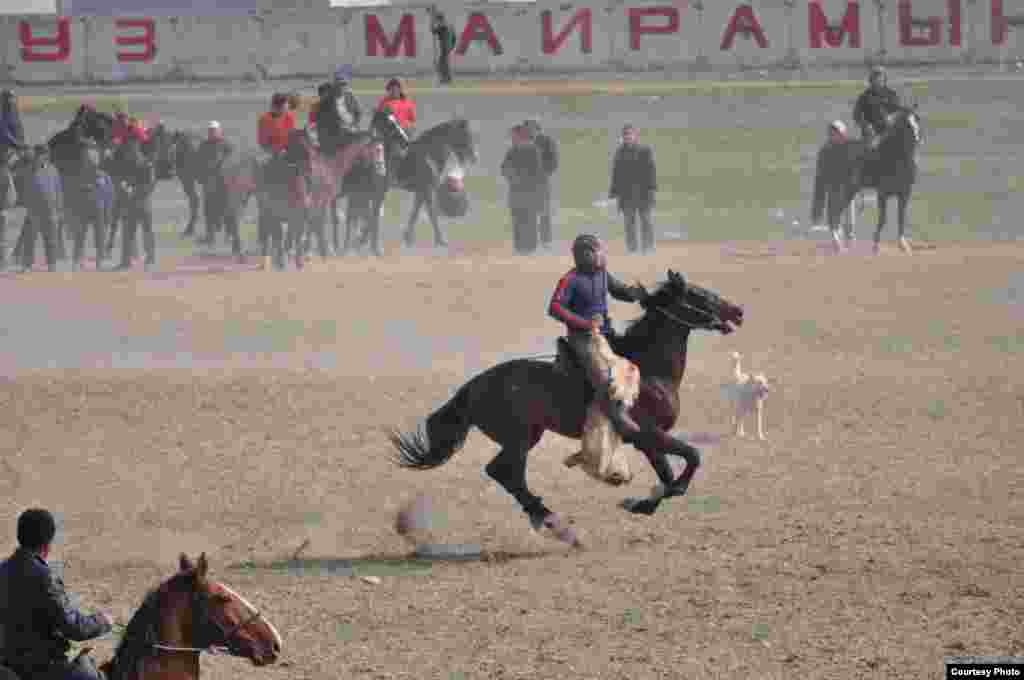 Qirg'izistonda Navro'z bayrami ko'pkarisiz o'tmaydi.