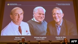 Página da Academia Sueca com os galardoados
