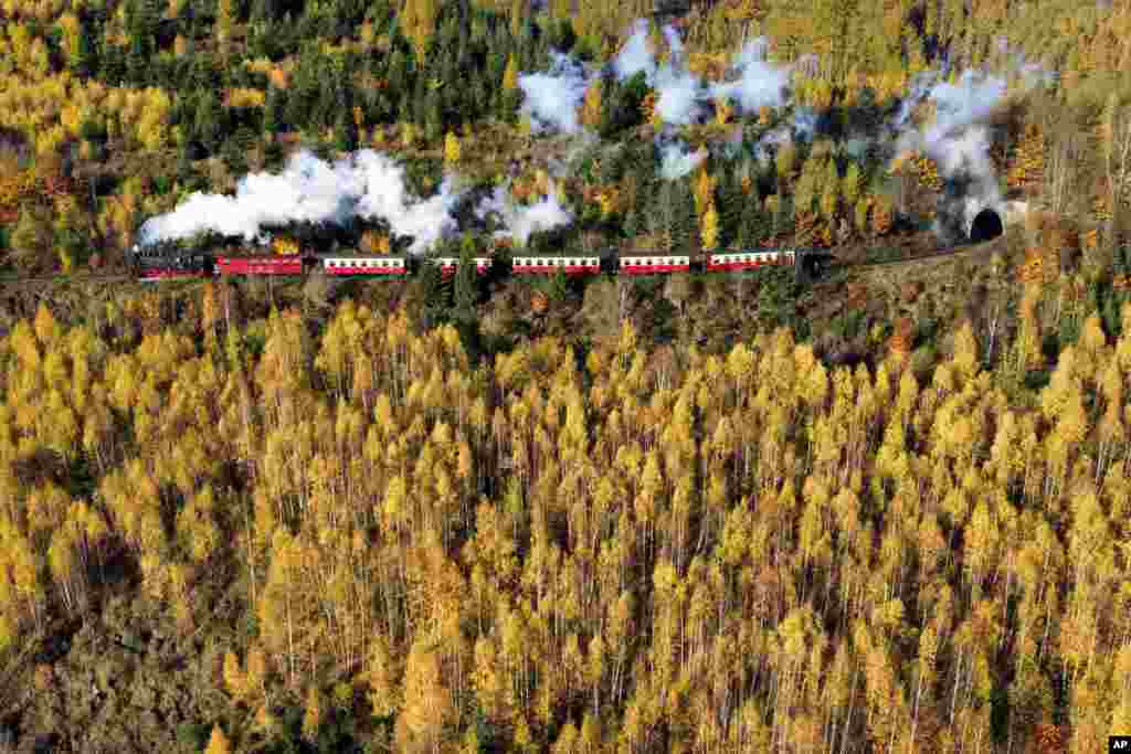 A steam train drives through the autumnal colors 'Harz' forest near Wernigerode, Germany.