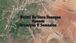 Liyyuu Poolisiin Naanno Somaalee Ka’ima Oromoo Waggaa 12 Iggitan: Jiraattotaa fi Angawaa Naannoo