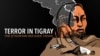 Terror in Tigray poster