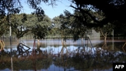 Según las autoridades locales, al menos 126 personas han muerto en las inundaciones, 141 están desaparecidas, alrededor de 2 millones de personas han sido afectadas y más de 400.000 están sin hogar.