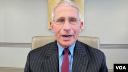 VOA’s Russian service discusses the pandemic with Dr. Anthony Fauci, the director of the National Institute of Allergy and Infectious Disease, June 11, 2020.