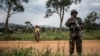 Une patrouille de la Monusco pour traquer les rebelles ougandais des Forces Démocratiques Alliés (ADF), le 13 novembre 2018.