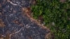 Area yang terbakar di hutan hujan Amazon terlihat di Prainha, negara bagian Para, Brazil. (Foto: AP)