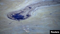 A fish swims under oil slicks in the Talbert Channel after a major oil spill off the coast of California has come ashore in Huntington Beach, California, U.S. October 3, 2021. (REUTERS/Gene Blevins)
