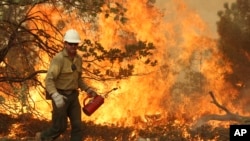 This Aug. 30, 2013, image provided by the U.S. Forest Service shows a member of the BLM Silver State Hotshot crew using a drip torch to set back fires on the southern flank of the Rim Fire in California.