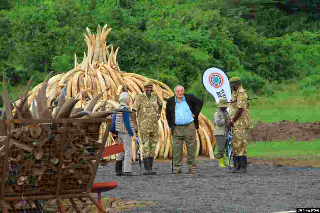 Kenya Wildlife Service Director General Kitili Mbathi, center left, and Kenya Wildlife Service chairman Richard Leakey, center right, prepare for ivory tusks and rhino horns to be burned, Nairobi National Park, Kenya, April 30, 2016.