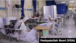 عکس(ارشیف)