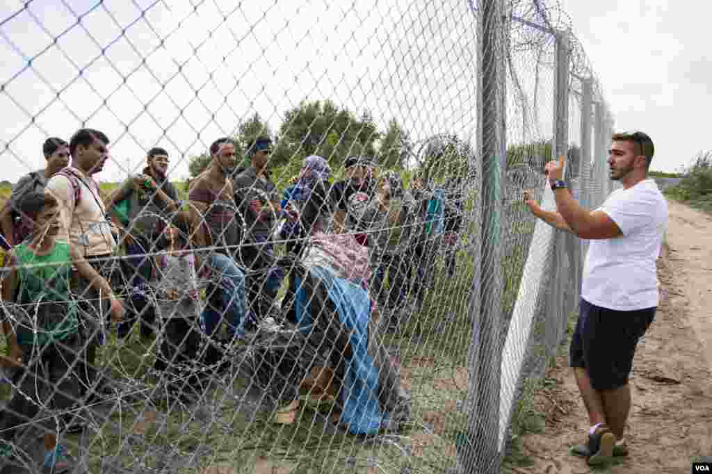 Desperate for answers, migrants on the Serbian side of the fence ask VOA's local Arabic language translator on the Hungarian side, where to go and what to do, Sept. 15, 2015. (Ayesha Tanzeem/VOA)