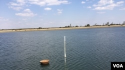 Amadamu anathisa uBulawayo akagcwalanga