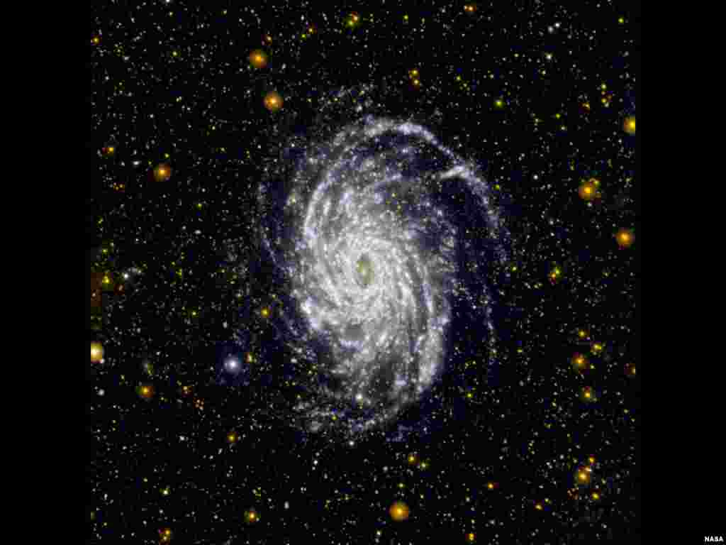 Gambar dari wahana penjelajah antariksa NASA 'Galaxy Evolution Explorer' yang menunjukkan NGC 6744, salah satu galaksi di alam semesta yang paling mirip dengan galaksi Bima Sakti kita. Galaksi NGC 6744 terletak pada jarak sekitar 30 juta tahun cahaya dari Bimasakti.