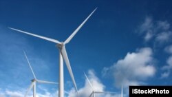 La energía eólica es barata y sostenible, y el número de aerogeneradores instalados está aumentando en todo el mundo.