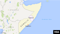 The Somalia national army reports it killed eight Al-Shabab militants in an operation in the Galgaduud region.