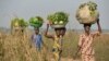 Thousands Receive Agricultural Assistance in CAR