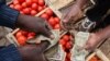 Scientists Discover Secrets for Tastier Tomatoes