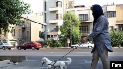 آرشیو 