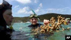 FILE - Australian senator Pauline Hanson listens to marine scientist Alison Jones (L) as she displays a piece of coral on the Great Barrier Reef off Great Keppel Island, Queensland, Australia.
