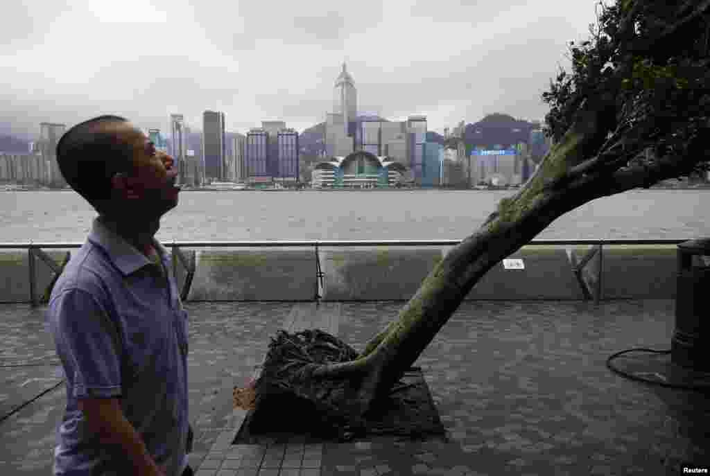 A man reacts while walking past an uprooted tree after Typhoon Vicente hit Hong Kong, July 24, 2012.