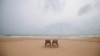 Sri Lanka Tourism Plummets After Bombings