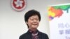 年终回顾：香港特首及港区人大代表选举