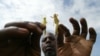 Locusts Threaten Sudan's Winter Harvest