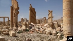 داعش نه تنها اقدام به تخریب آثار باارزش مجموعه تاریخی پالمیرا کرد، بلکه پیش از فرار، اقدام به مین گذاری در سراسر شهر کرد.